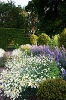 View over flowering, herbaceous border, with topiary