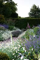 Double herbaceous border with gravel path, against formal hedge