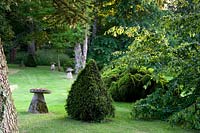 Topiarised Taxus - Yew - pyramid and staddle stones in lawn with cloud-pruned shrub, trees beyond