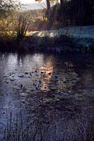 Sunlight shafts through onto pond on a frosty morning 