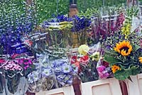 A variety of cut flower bouquets produced at Highcroft Nursery, Cornwall  