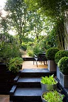 Black steps lined with containers of herbs and clipped buxus leading to a multi level narrow urban garden
