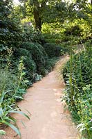 View up curved pathway with wild naturalistic borders in urban garden. 