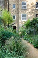 A pathway throuh an urban garden with wild naturalistic borders