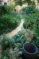 A winding path through borders with naturalised planting in an urban garden 