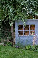Contemporary garden in Wimbledon - including grey garden shed with perennial planting.