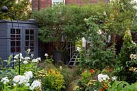 Small garden, planting includes: Phlox 'David', Achillea 'Moonshine', Stipa arundinacea, Helenium 'Moerheim Beauty' and Alchemilla mollis. Other features include: obelisks, tree in large pot and painted wooden summerhouse