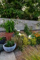 A summer border in a cottage garden planted with Phlox paniculata 'David', Achillea 'Moonshine', Stipa arundinacea, Helenium 'Moerheim Beauty', Alchemilla mollis and Acidanthera

