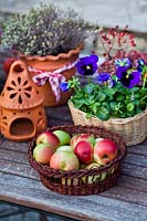 Basket of Malus domestica - Apple, decorative terracotta objects and Viola - Pansy in basket