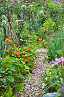 Gravel path through crowded vegetable beds