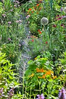 Mixed planting in edible garden with a gravel path 