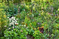 Mixed beds with vegetables, herbs, annuals and perennials. Rudbeckia hirta, Nasturtium, Flowering Fennel, Allium - Leek and Welsh Onion in flower