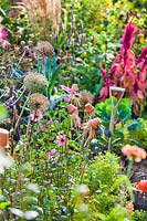 Allium - Leek - seedheads and earwig traps, small terracotta pots filled with straw and suspended on bamboo canes, in a bed with a mix of vegetables and flowers