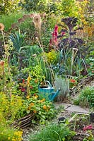 Beds with woven edges by gravel path, colourful mix of vegetables, foliage and flowers
