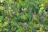 Mixed planting of vegetables, herbs and flowers. Rudbeckia hirta, Tropaeolum maus - nasturtium, leeks, Verbena bonariensis, Echinacea purpurea, fennel, Welsh onions, lavender.