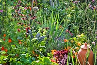 Mixed planting in a vegetable garden including Tropaeolum majus - Nasturtium, Rudbeckia hirta - Black-Eyed Susan, Foeniculum vulgare - Fennel, Kale, Leeks, Lavender, Basil and Lettuce.