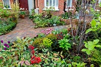 Spring front garden in West London with planting of Amelanchier lamarckii,   Dryopteris atrata and Nandina domestica 