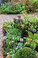 Mixed Planting in Spring front garden in West London. High view showing brick and tile path 