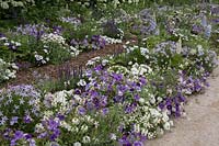 Mixed floral bed, blues and whites, arranged by the Domaine team,  Festival International des Jardins 2019, Domaine de Chaumont sur Loire, France. Delphiniums, Lupins, Petunias, Gaura, Osteospermum, Phlox.