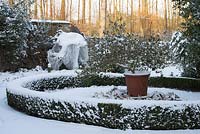 Camellia 'Cornish Snow' in a terracotta pot in a circular bed edged with Buxus sempervirens - box. Snow in late February, The Old Rectory, Suffolk UK
