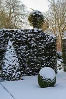 Taxus baccata - yew hedge with topiary  finials and Buxus - box ball with snow in late February. The Old Rectory, Suffolk, UK