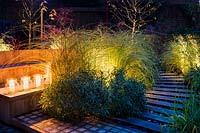 Illuminated path and candles surrounded by Miscanthus sinensis 'Morning Light' - eulalia and Erysimum 'Bowles's Mauve' in Autumn at night.