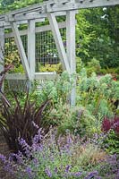 'Shorty' Spurge, 'Dropmore' Catmint, 'Amazing Red' New Zealand Flax among perennials framing shade structure - Euphorbia characias ssp. wulfenii 'Shorty', Nepeta 'Dropmore', Phormium 'Amazing Red'. Bellevue USA.