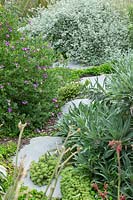 A meandering path made from irregularly shaped grey stone stepping stones, with low growing succulents, Polygala, Pride of Maderia and Licorice plant.