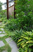 A path made from irregularly shaped grey stone pavers interplanted with Zoysia grass next to a lush green garden planted with Philodendron Xanadu, Liriope Evergreen Giant and a gardenia.
