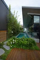 A swimming pool in between a fence and house with a green screen planting of Slender Weavers Bamboo, a hardwood timber deck and a low garden bed with a lush planting of Philodendron, Xanadu, Australian native violet, Walking iris and flowering Gardenias.