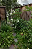 A stepping stone path made from irregularly shaped grey stone with an Oak leaf hydrangea with white flowers in front of a slatted timber screen with an open gate in a garden with Liriope and Philodendron Xanadu.and Daylillies.
