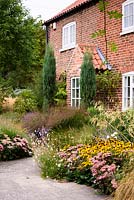 Early autumn in a garden in rural Nottinghamshire planted with a mix of herbaceous perennials and grasses including Stipa gigantea, Hylotelephium 'Matrona', Rudbeckia fulgida var. sullivantii 'Goldsturm', Gaura lindheimeri 'Whirling Butterflies' and Panicum virgatum 'Squaw'.