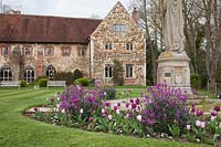 Beeleigh Abbey, near Maldon, Essex 
Mixed tulips with Erysimum 'Bowles Mauve'