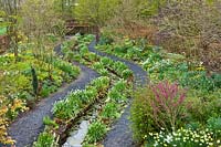 View from above to spring borders with stream and gravel paths.