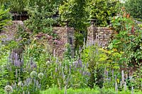 Mixed planting of herbs and vegetables in walled herb garden.
