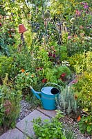 Mixed planting of herbs, vegetables and flowers and beneficial plants.