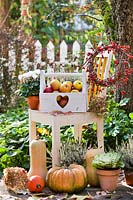 Autumn harvest scene with pumpkins and apples.