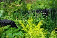The M and G Garden, Dryopteris wallichiana 'alpine wood ferns', Osmunda regalis and mixed foliage planting in woodland garden. Sponsor: M and G, RHS Chelsea Flower Show 2019.
