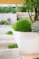 Raised beds and staircase in split level garden with Mediterranean planting. The Dubai Majlis Garden 
RHS Chelsea Flower Show 2019