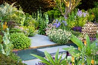 Paths and water feature surrounded by Iris 'Kent Pride', Rosa 'Ballerina' AGM, Anthemis punctata subsp. cupaniana AGM - Sicilian chamomile and Salvia x sylvestris 'Mainacht'. The Morgan Stanley Garden.  
RHS Chelsea Flower Show 2019, Gold medal winner