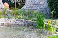 The pond with aquatic filtering plants: Iris laevigata and Iris pseudacorus - yellow iris. The Harmonious Garden of Life 
RHS Chelsea Flower Show 2019
