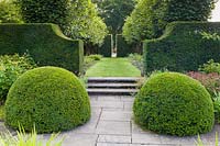 View from the Lower Rill Garden to the Lime Allee at Wollerton Old Hall Garden, near Market Drayton, Shropshire. Planting includes: clipped yew balls and yew hedge, and pleached lime trees.