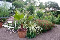 The Exotic Garden at Abbeywood Gardens. Planting includes Geranium palmatum, Salvia coccinea 'Lady in Red', Trachycarpus fortunei, Tetrapanax papyrifera and Phormium tenax 'Variegatum'.