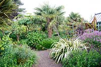 The Exotic Garden at Abbeywood Gardens. Beds contain plants including Salvia 'Nachtvlinder' Geranium palmatum, Cordyline australis, Trachycarpus fortunei, Ensete ventricosum 'Maurelii', Tetrapanax papyrifera, Pseudopanax crassifolius, and Phormium tenax 'Variegatum'.
