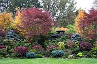 Autumnal colours of mixed acers, conifers, photinias and azaleas surround the black Japanese style tea house at Four Seasons garden, Walsall, West Midlands.