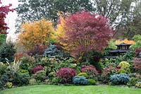 Autumnal colours of mixed acers, conifers, photinias and azaleas surround the black Japanese style tea house at Four Seasons garden, Walsall, West Midlands.