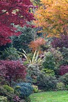 Autumnal colours of mixed acers, conifers, photinias, phormium and azaleas at Four Seasons garden, Walsall, West Midlands.