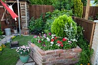 Raised brick bed with dianthus and geraniums in the 1960's Anniversary Garden at BBC Gardener's World Live 2017.