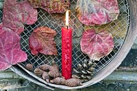 Red candle with pine cones and red Forest Pansy leaves displayed in old vintage sieve hanging on brick wall.