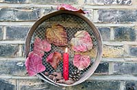Red Candle with pine cones and red Forest Pansy leaves displayed in old vintage sieve hanging on brick wall.